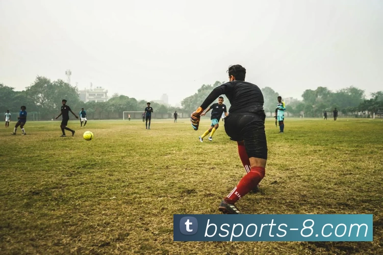 B体育官网发展历程